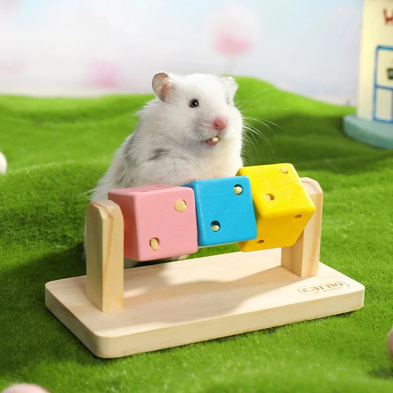 Hamster Boring Relief Toy, Fun Colored Wooden Cube Interactive Chew Toy, Suitable for Small Pets Such As Birds and Parrots