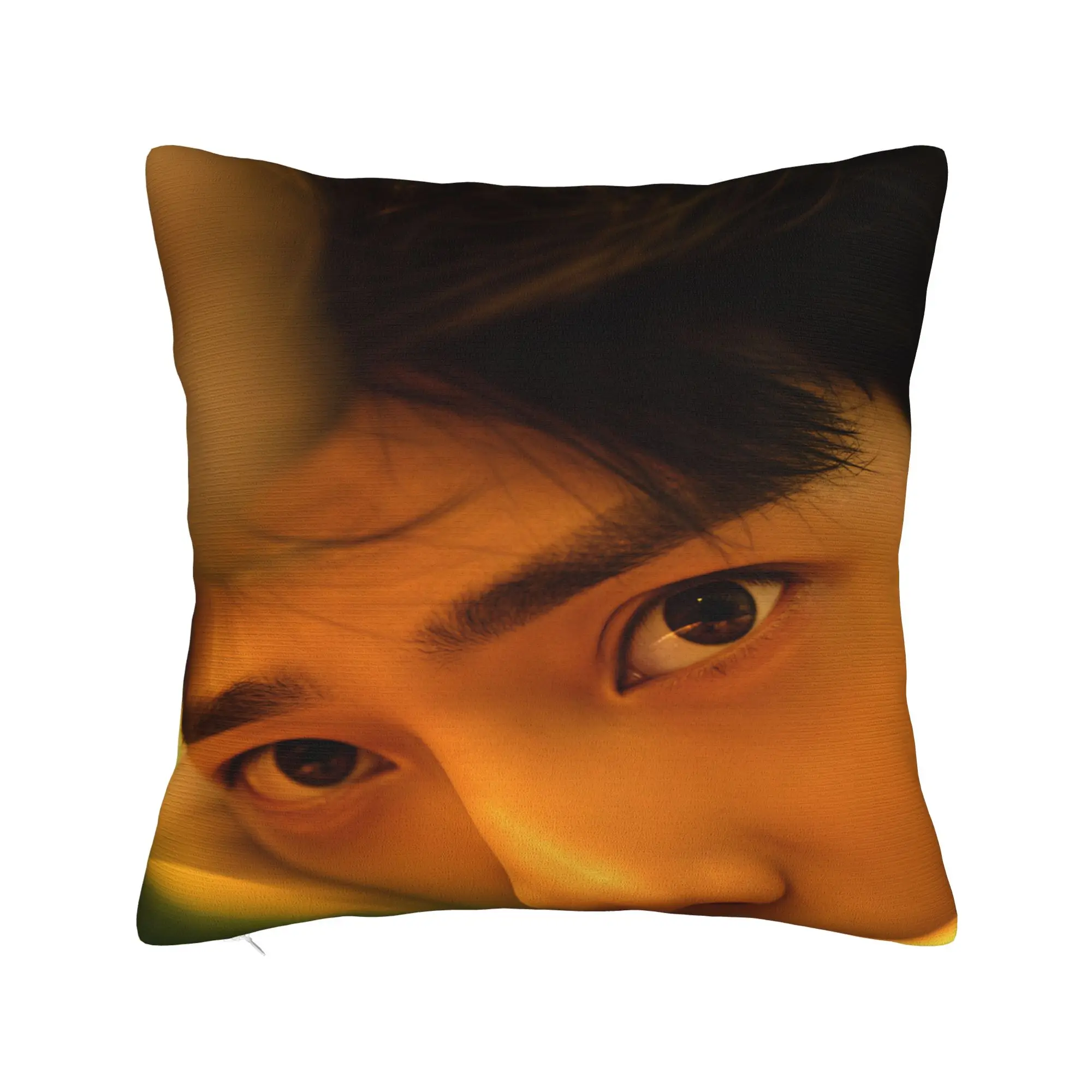 The Early Spring Pillow Cover C Drama Vintage Pillow Case For Sofa Bedroom Home Decor Print Cushion Cover Birthday Present