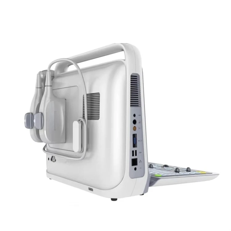 Breaking Ultrasound System Machine, Portable Laptop Computer, Veterinary Color Doppler Ultrasound Probe Scanner