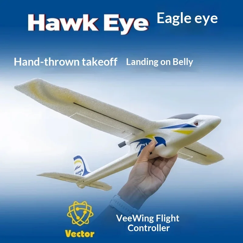 New In Stock Arrows Hobby 600mm Hawk Eye RC Airplane Fixed Wing Electric Remote Control Model Plane For Beginner Hobbyists