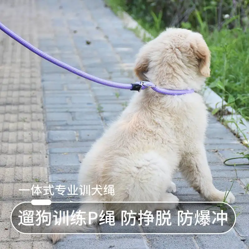 Dog Rope Anti-explosion Running Chain Dog Walking Training Grade P Rope Integrated Bold Leash Medium And Large Dog Leash