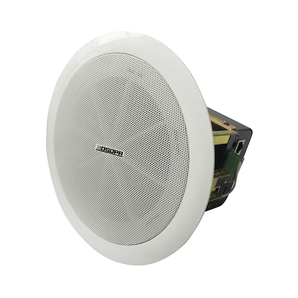 Dual network port 2x15w Active Ip Network Ceiling Speaker