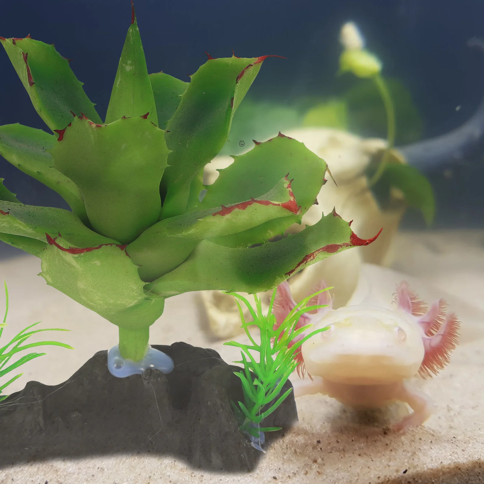 

Transparent Spider Box Plant Decoration Lifelike Aquarium Reptile Terrarium Plants Safe Hide Place Fish Tank Home Office Decor