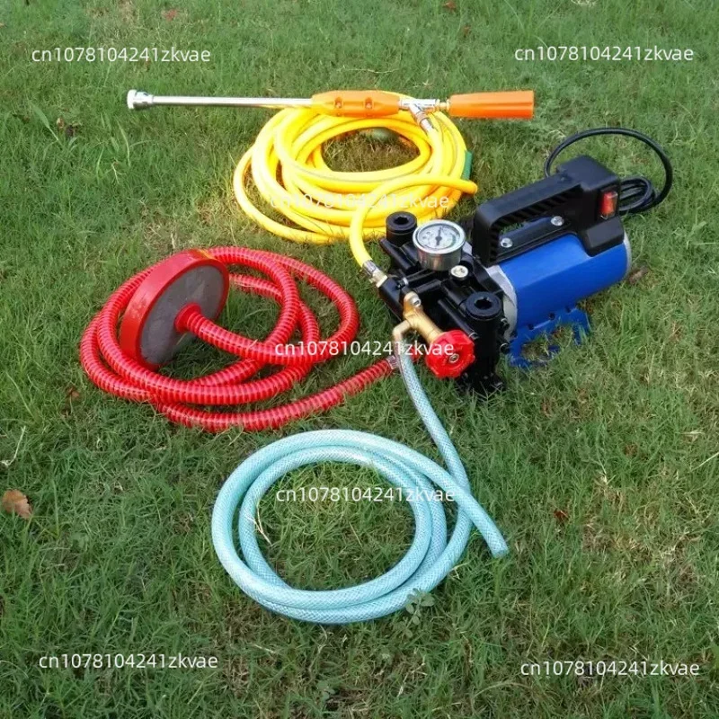 Agricultural Electric High Pressure Pump 12V/48V/220V Double Cylinder Piston Pump Spraying Watering Car Wash Pesticide Sprayer