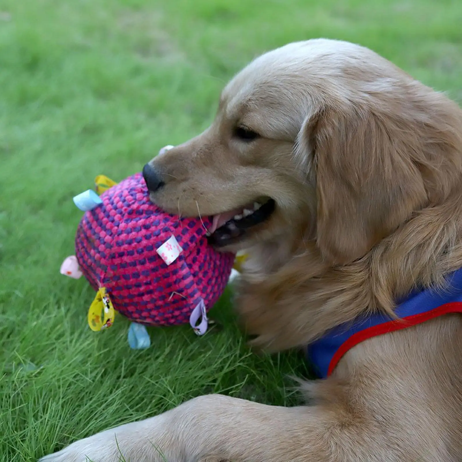 

Plush Dog Vocal Toy Ball Funny Interactive Pet Toys with Bells Cleaning Tooth Chew Toy For Small Large Dogs Cats Puppy Plaything