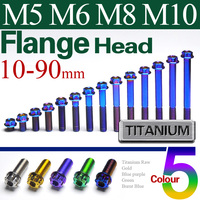 1PC M5 M6 M8 M10 Titanium Ti Bolts Screw Fastener for Bike Motorcycle Caliper Disc Brake Lever Refitted Cycling TC4