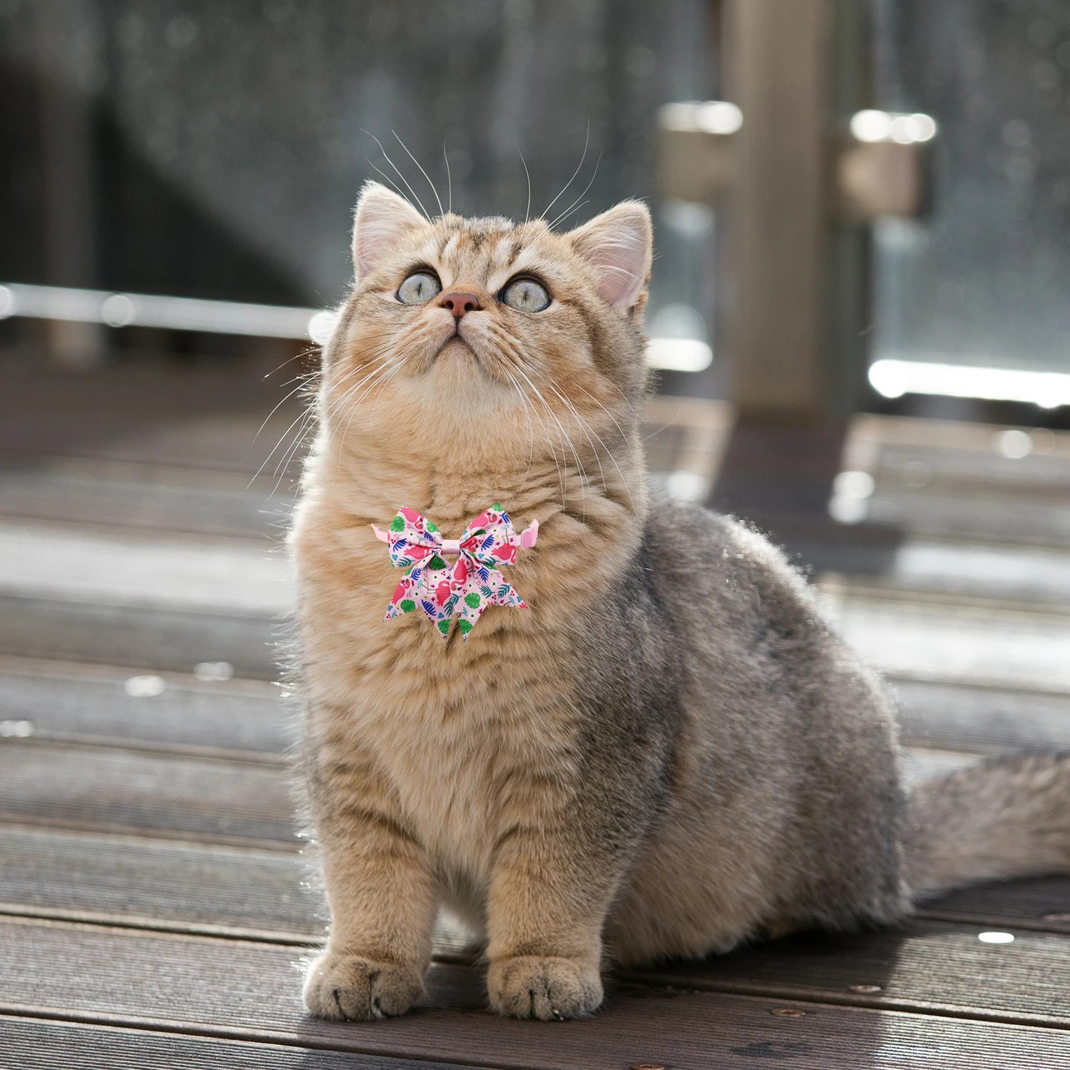 Lazos de estilo veraniego para perro, pajaritas de flamenco, fruta, gato, cachorro Tropical, para el cuidado de mascotas, para Primavera, 50/100 piezas