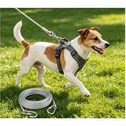 Double-Headed Dog Tie out Cable Leash with Metal Buckle Anti-Rust Steel Wire Outdoor Training Collar Durable Traction Rope Strap