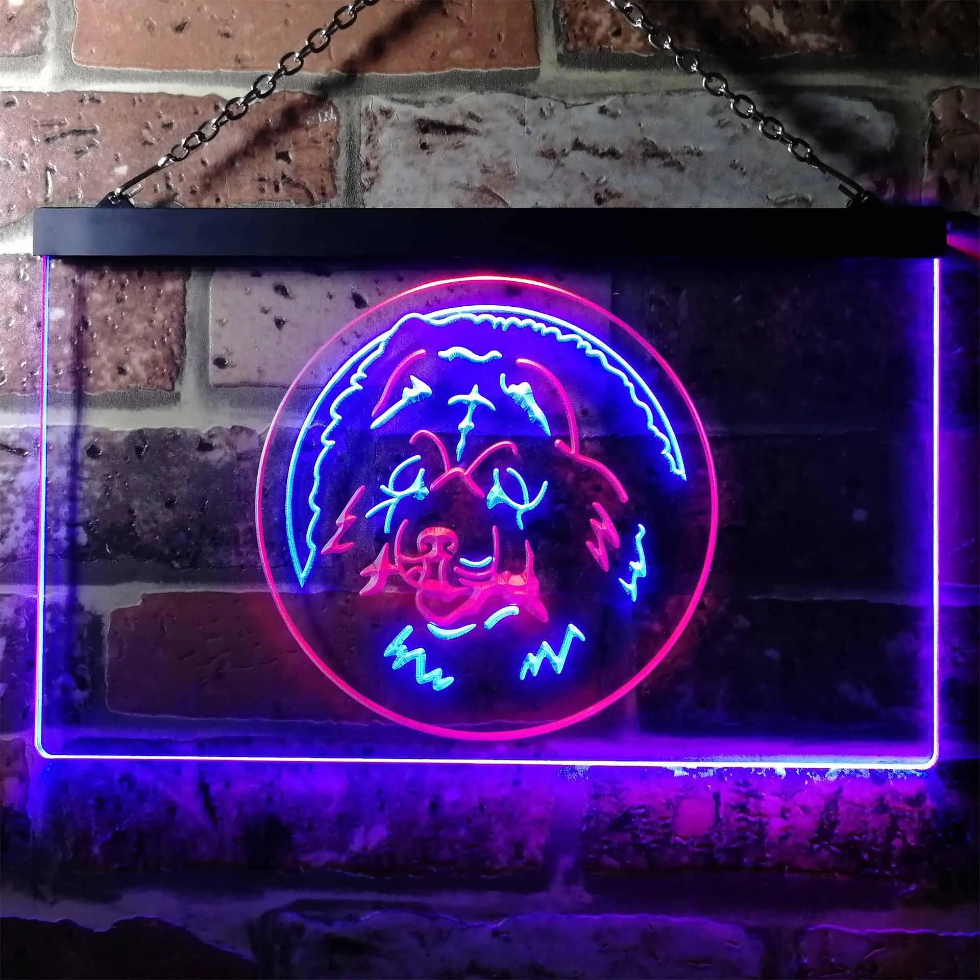 Chow Chow Dog Pet Dual Color Led Neon Sign st6-i0662