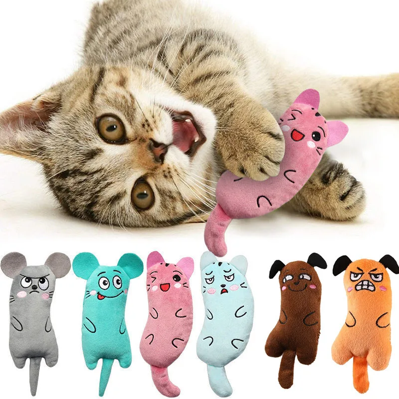 Cute Cat Toys Funny Interactive Plush Cat Toy Mini denti rettifica Catnip Toys Kitten Chewing Squeaky Toy accessori per animali domestici