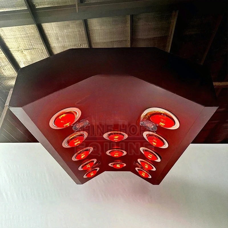 

Horses Solarium Electric Lift Equine Red Light Therapy