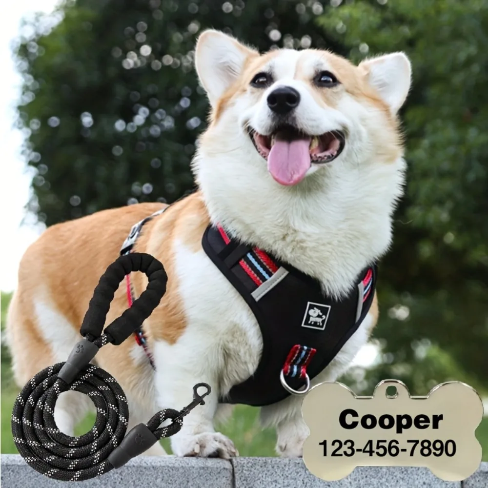Customizable Dog Harness & Leash Set, Anti-Pull Chest Harness Reflective Strips for Walking Nighttime Use