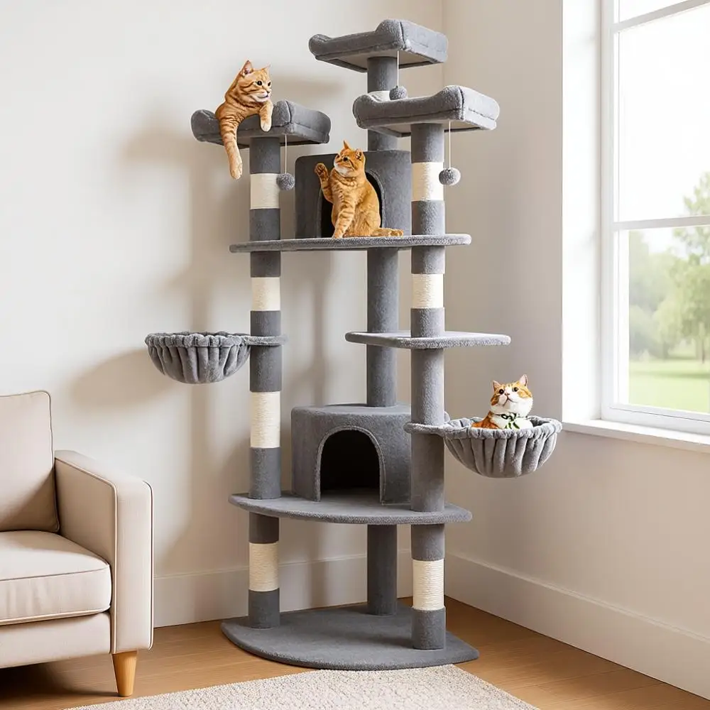 Shape-Saving Cat To…