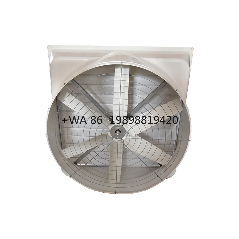

Electric Fiber Glass Fan OEM Supported Negative Pressure FRP Exhaust Cone Fan Belt Driven 2025 New Wholesale 36 Inch 48 Inch