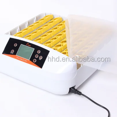 Hot Sale 56 Eggs In…