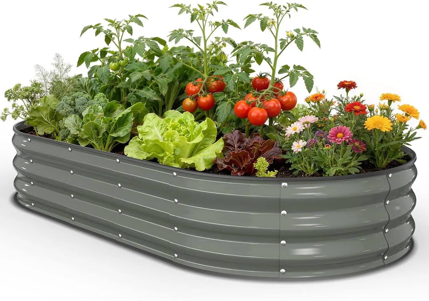 Raised Garden Bed & Planter Box, Galvanized Metal, 6x3x1 FT