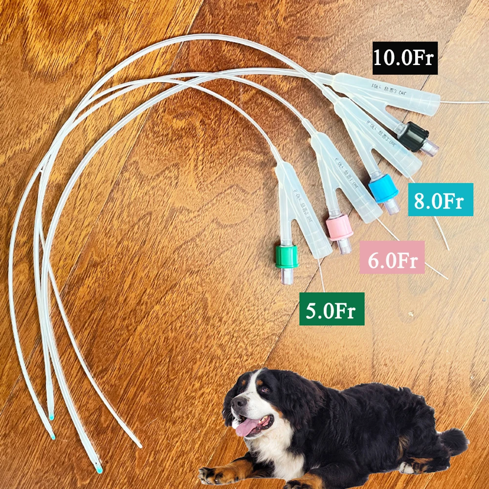 

8PCS Pet Dog Silicone 2 Ways With Stylet Self-retaining Close End Urinary Indwelling Foley Catheter With Balloon Urine Retention