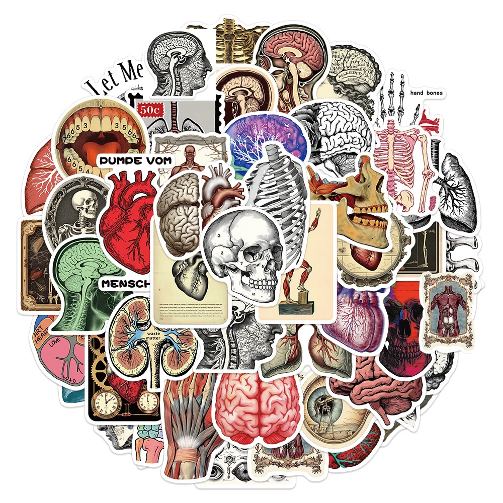 10/30/50 Stück Cartoon Retro Wissenschaftliche Anatomie Aufkleber Menschliche Physiologie Sticker Scrapbook Handy Laptop Graffiti Aufkleber Großhandel