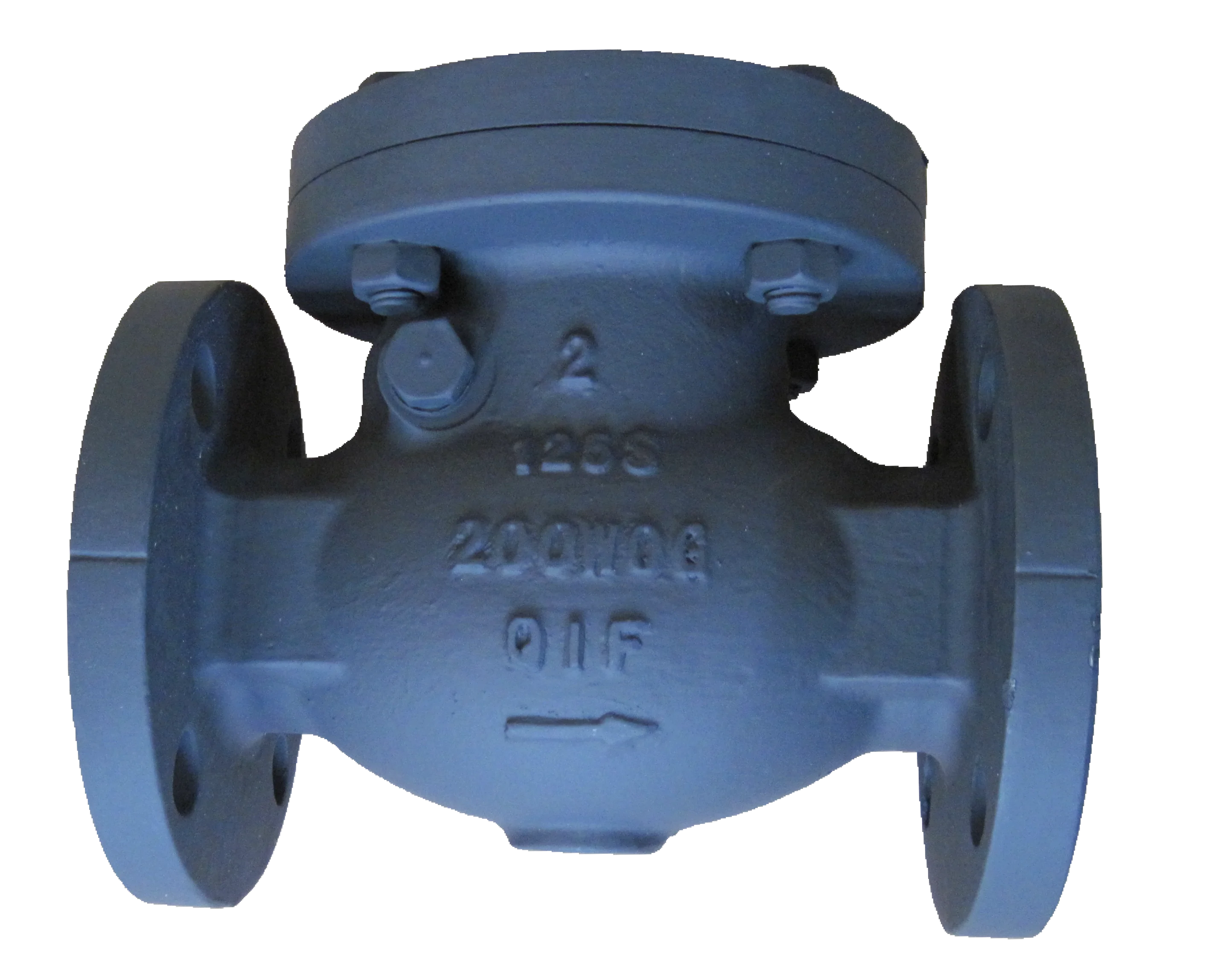 MSS SP-71 CLASS 125 صمام فحص أرجوحة من الحديد الزهر #2