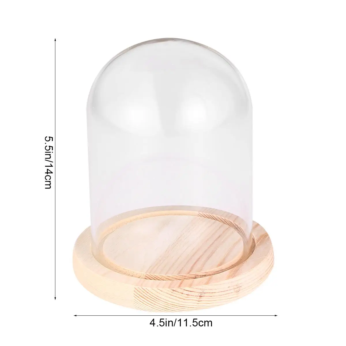 

10 X14cm Flower Glass Cover Christmas Decoration Dome Display Case Transparent Chocolate