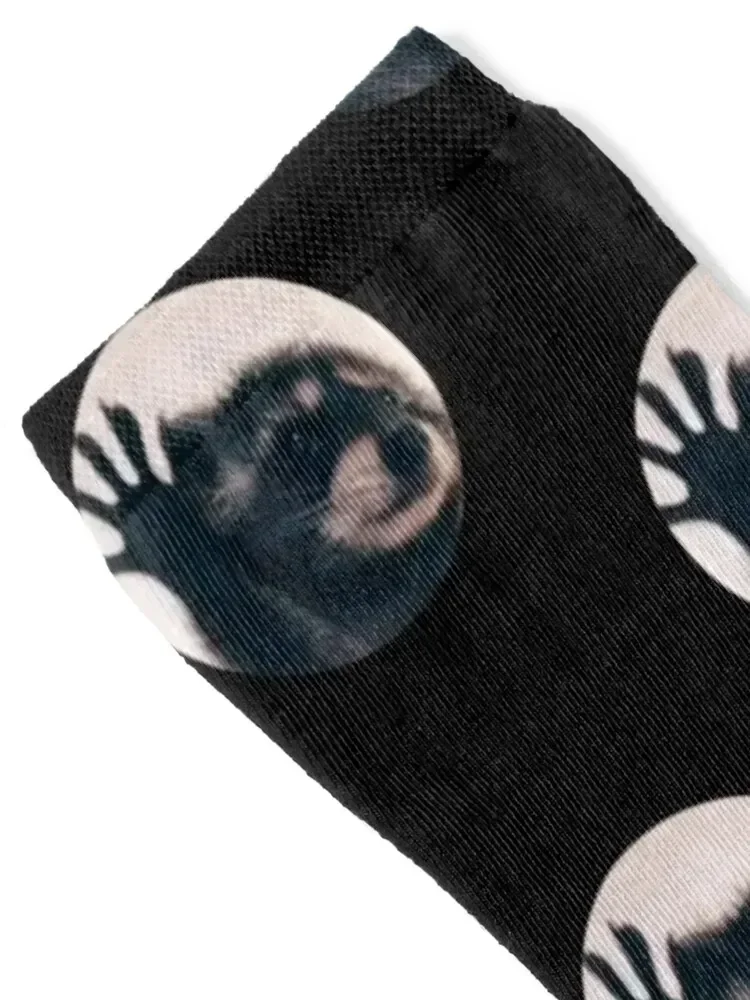 Raccoon dancing, viral video Pedro Socks shoes Rugby snow Crossfit Women's Socks Men's