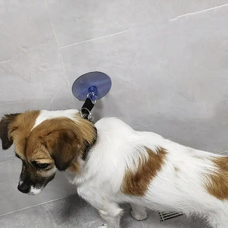 Suction Cup Hooks For Pet Tether Straps Leash Attaching Dog Bathing Restraint