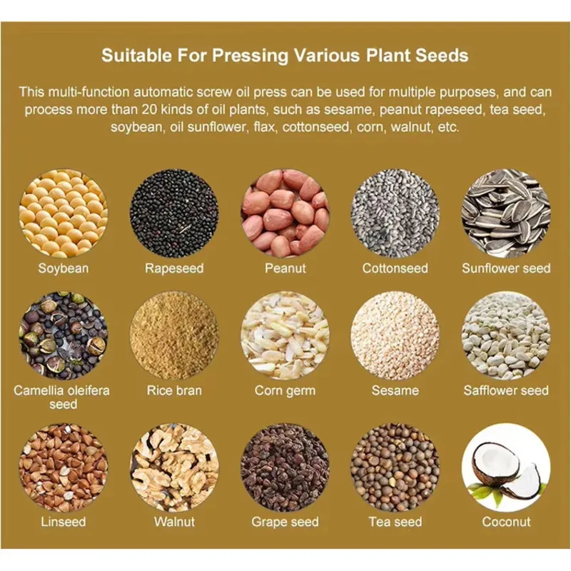 Commercial Oil Press Machine Hemp Oil Extraction Machine Machine for Cold Pressing of Olive Oil