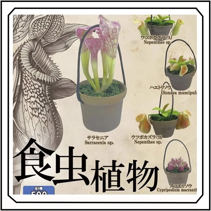 

Insect Eating Plant Potted Plant Gashapon Pitcher Plant Miniature Collectible Ornaments Gifts