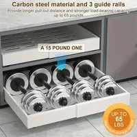 8181-b7e8c5.jpeg Sorty™ Expandable Pull Out Cabinet Organizer