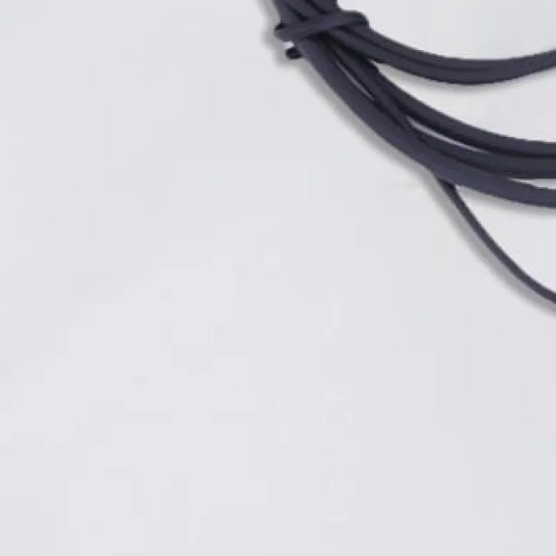

2Pcs Walkie Talkie Earpiece Headset Mic PTT 2-Pin Earphone Walkie Talkie Headset Privacy Accessories for Motorola CB Radio