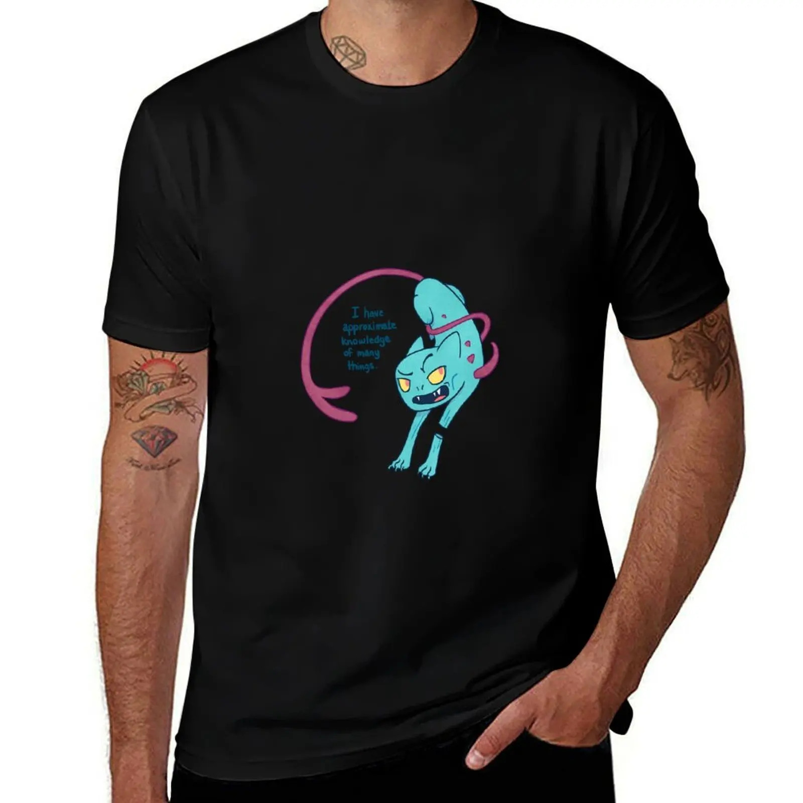 Approximate Knowledge Cat T-Shirt t shirt man casual T-Shirt