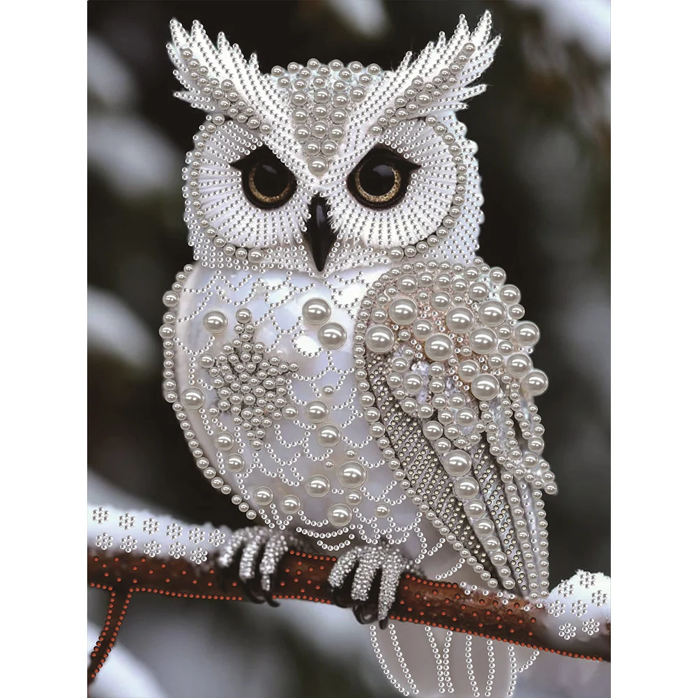 

Jewelry Animal Special Shaped 5D DIY Partial Drill Diamond Painting Kits for Adults Home Decor Diamond Dots Paintings 30x40cm