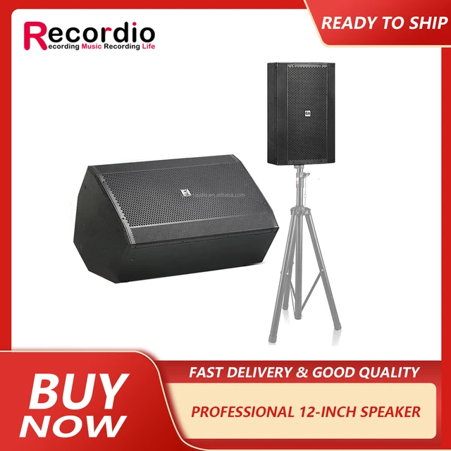 Pro audio 12 shops inch speakers