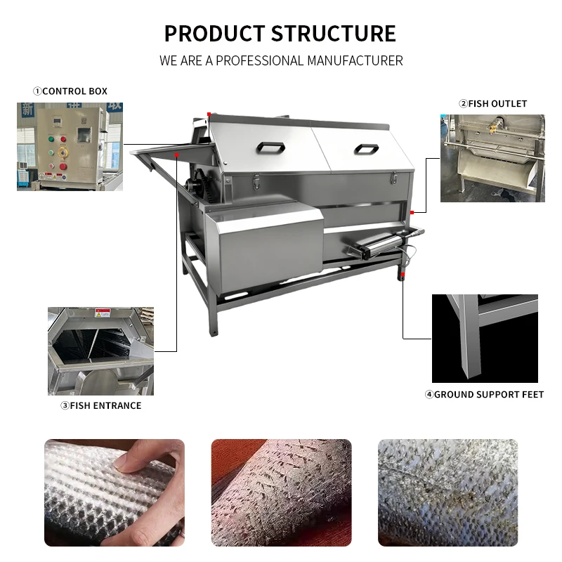 Compact Mackerel Herring Descaling Machine Easy Operation for Aquatic Processing Plant Custom