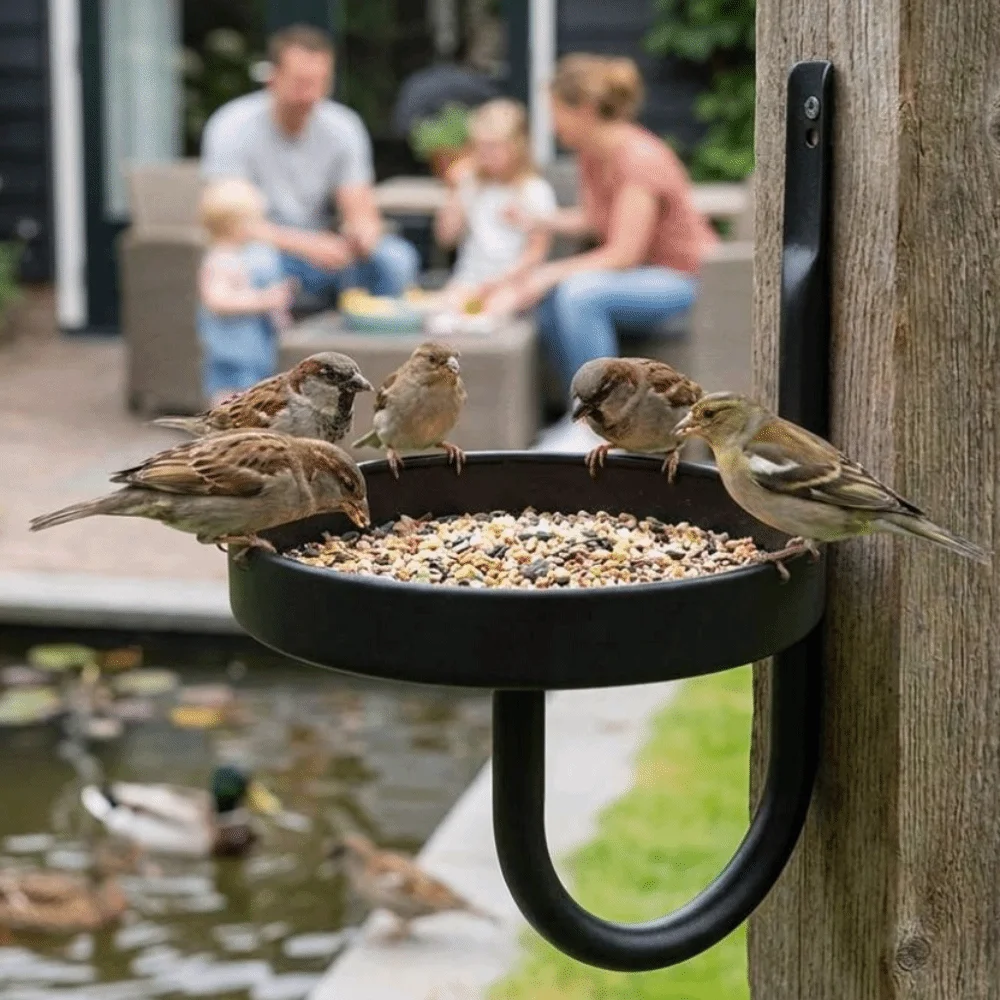 Rust-Proof Wall Mounted Bird Feeder Cast Iron Heavy-Duty Flower Basket Holder Vintage Style Space Saver Metal Bird Bath