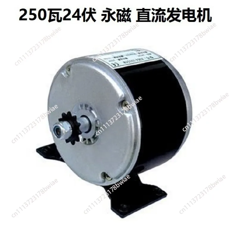 Wind Permanent Magnet DC Generator 12V 24V 250W 600W Hand Crank Hydropower Pedal Charger