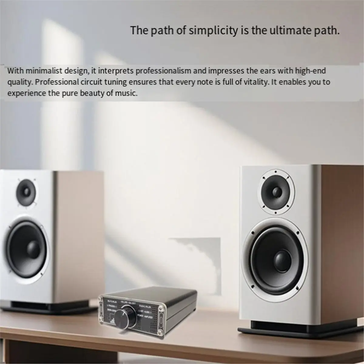 

HIFI High Power 300W+300W G5 Home Mini Digital Amplifier High Temperature TPA3255 Edition