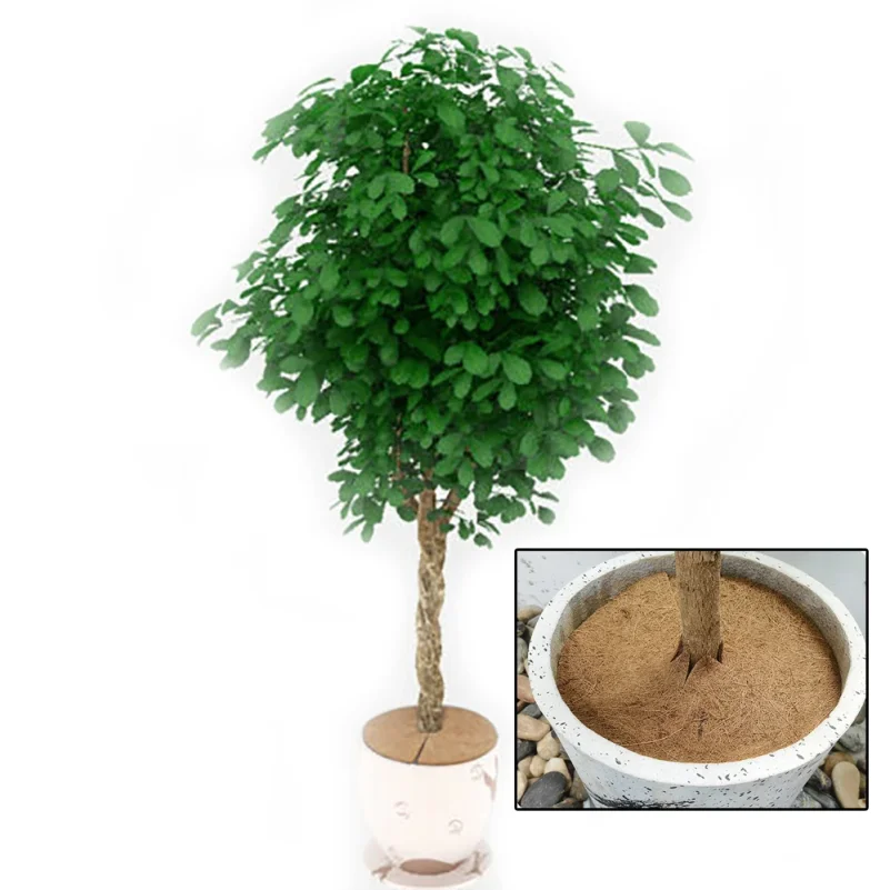 Natural Coconut Fiber Tree Mulch Mat Cover Protector 30//40cm Flower Pot Disc Pad Weed Control Warm Moisture Cushion