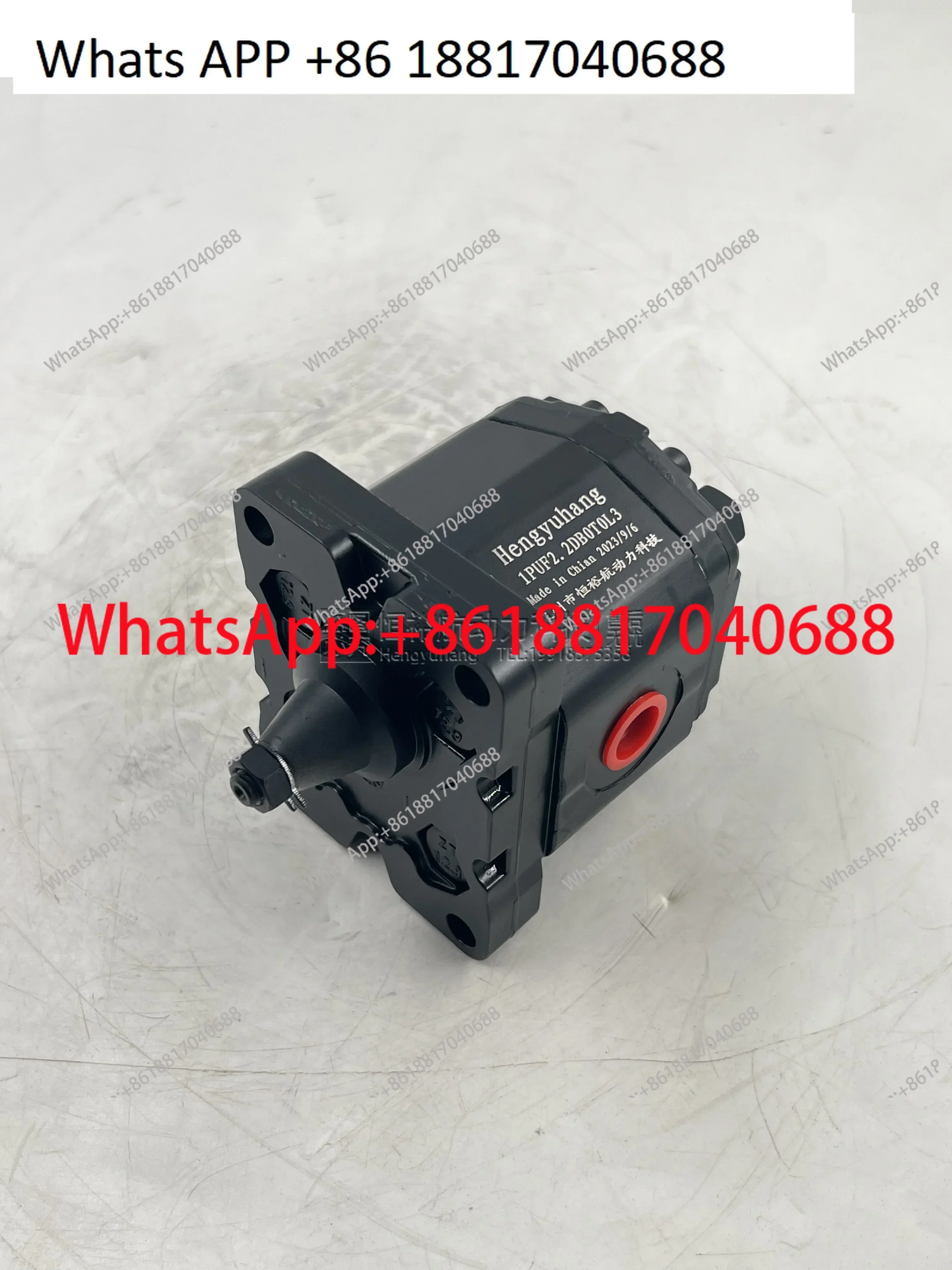 

Гидравлический шестеренчатый насос Shanghai Hangfa NB4-G40F G50F G63F NB5-G80F G100F G125F