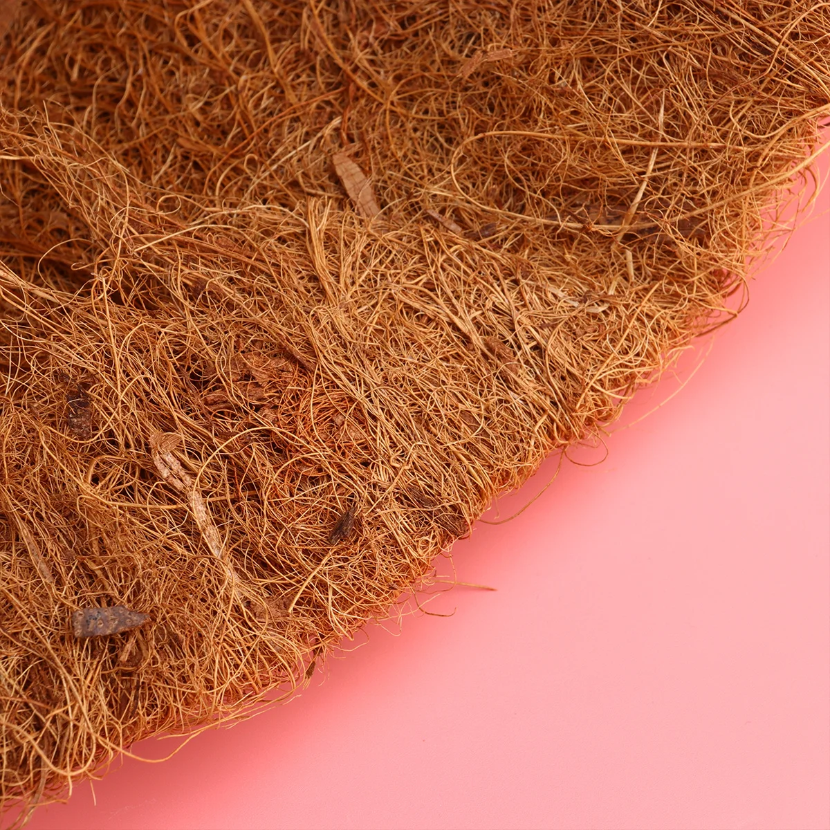 

Coconut Palm Hanging Basket Flowerpot Corner Wall Mounted Rustproof Metal Plant Holder for Living Room Bedroom Hotel Coffee Shop