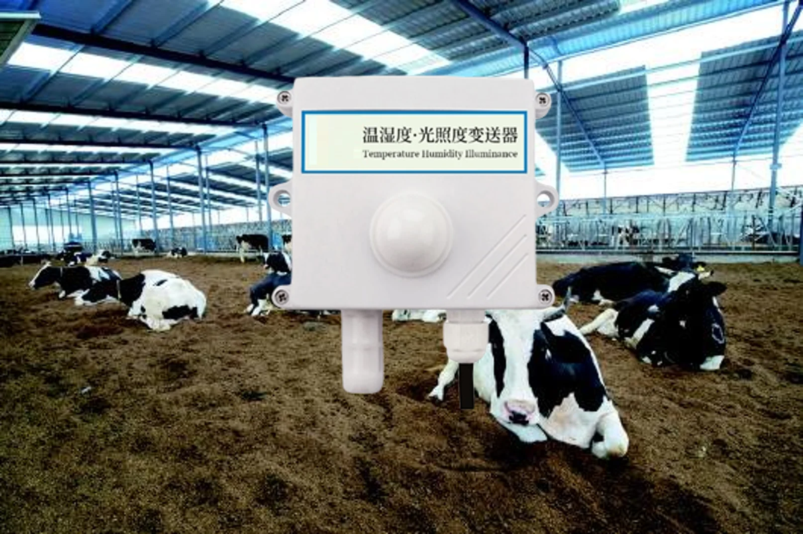 CE Air Temperature Sensor Air Humidity Sensor Integrated Cloud All in One MODBUS Meteorological GPRS Digital Weather Station