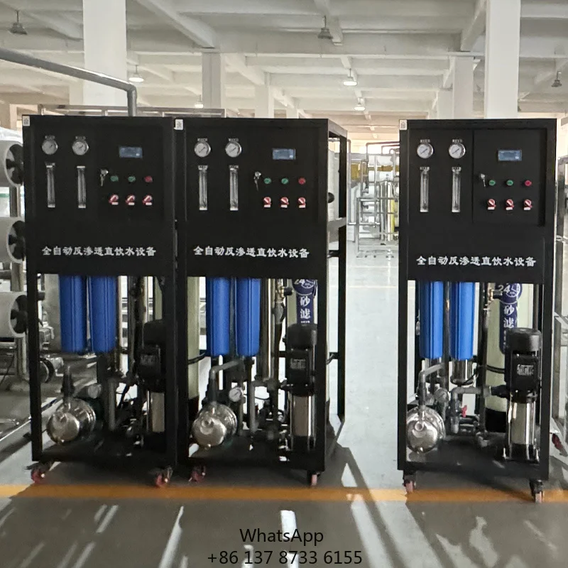 250LPH Water Treatment Plant RO Water Filter Machine Purifier