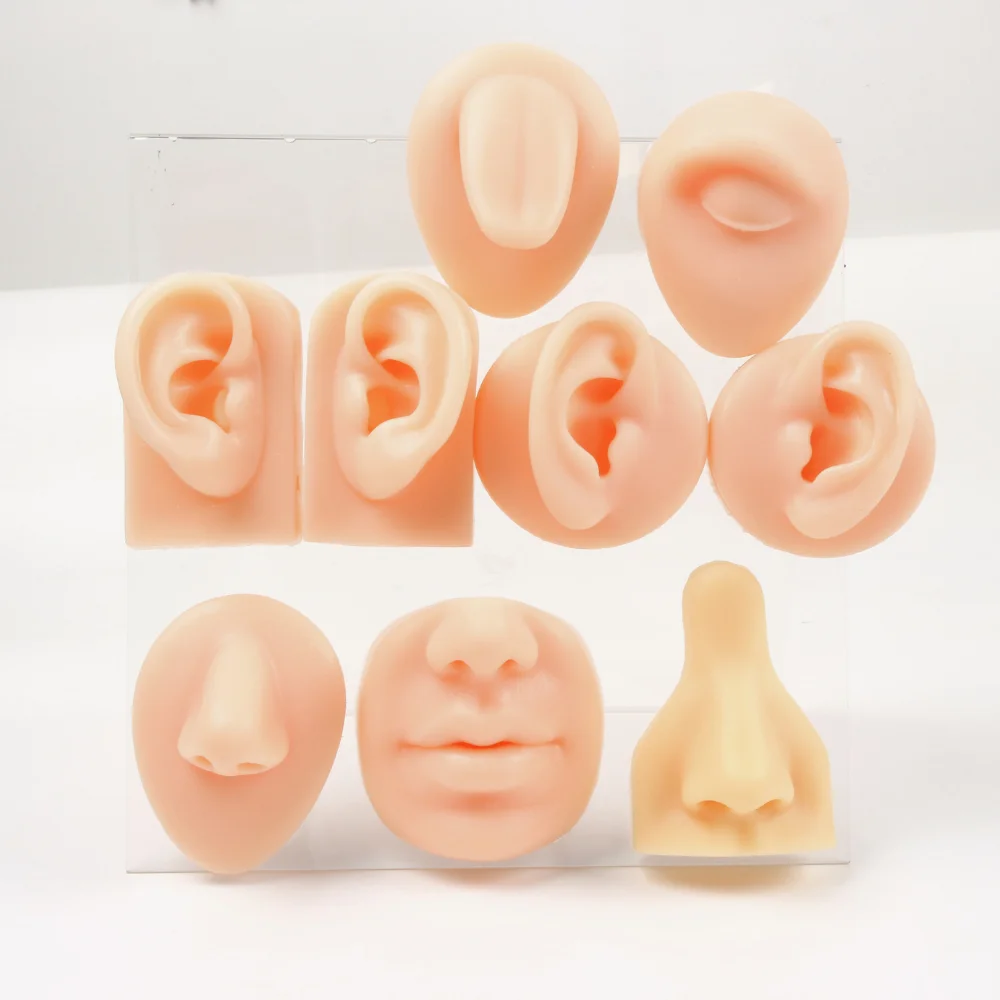 

Soft Silicone Simulation Ear Nose Lip Tongue Models 3D Body Piercing Practice Parts for Piercing,Tattooing,Acupuncture Practice