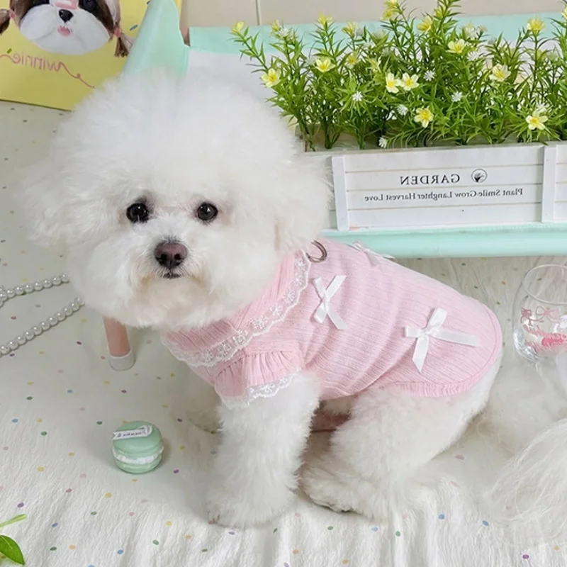 Chaleco verano con cuello encaje, lazo para perro y gato – anilla D