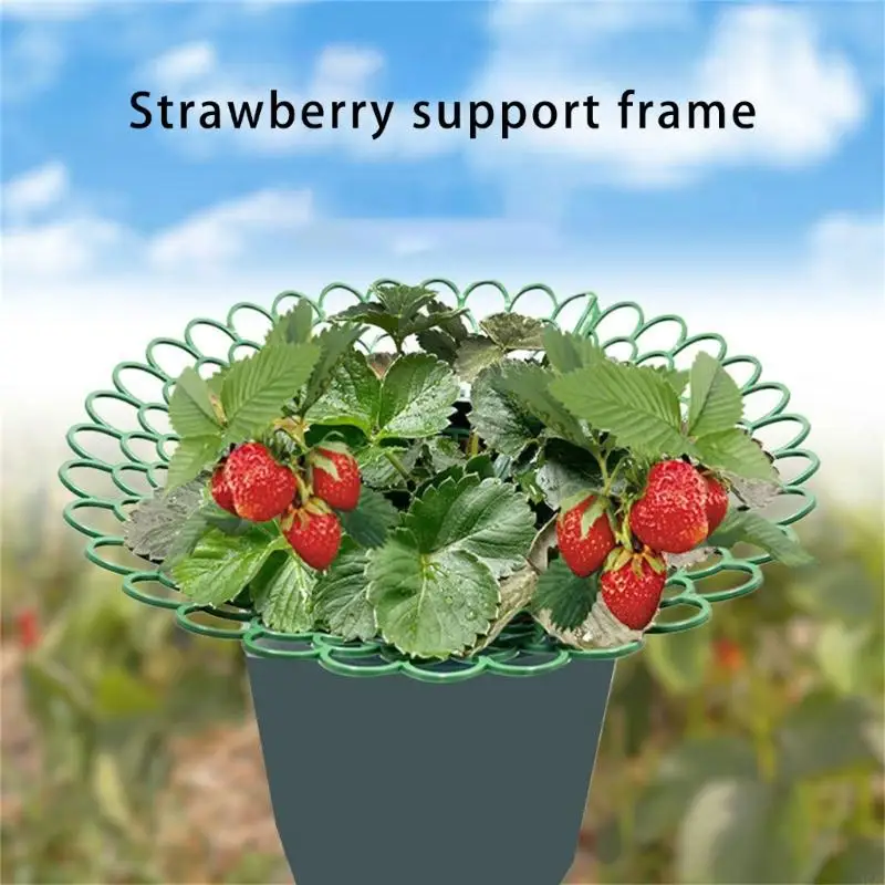 Vertical Tiered Strawberry Planter Fit for Balcony Gardening Space Saving Design 37JD