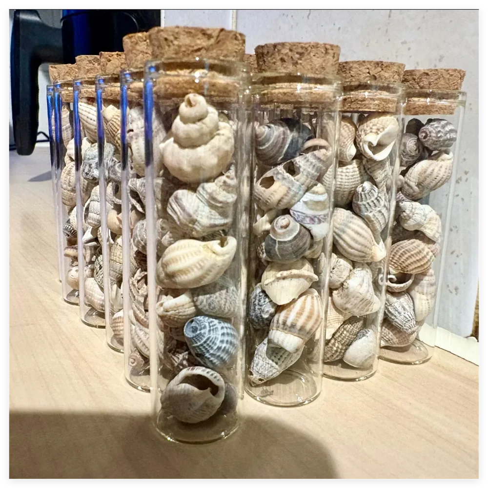 24/40 PCS Diameter 25mm 30ML Empty Glass Bottles with Cork - Decorative Wedding Gift Jars, DIY Candy/Dragees Test Tube Vials