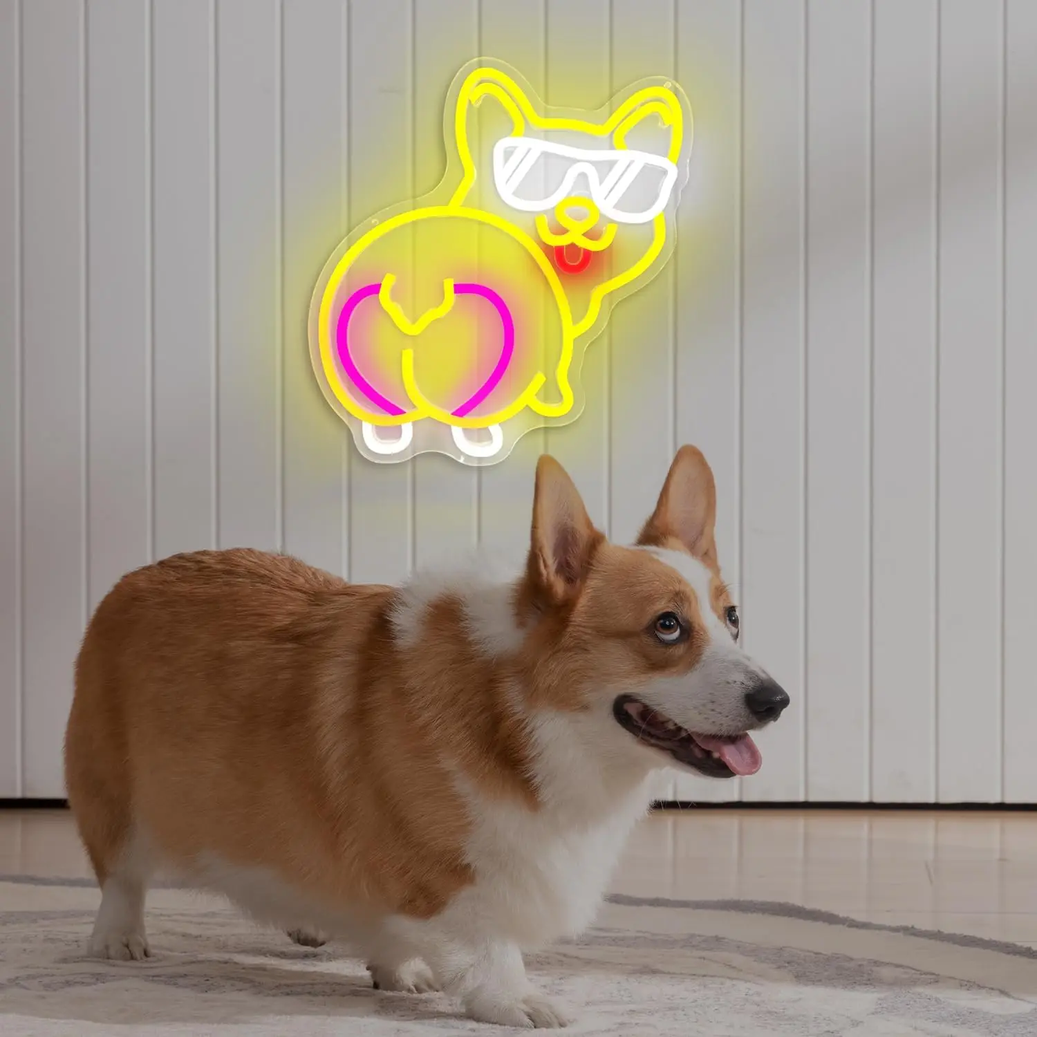 Dachshund Anime Corgi Puppy Custom Neon Sign LED Strips for Shops & Buildings Customizable Size & Color