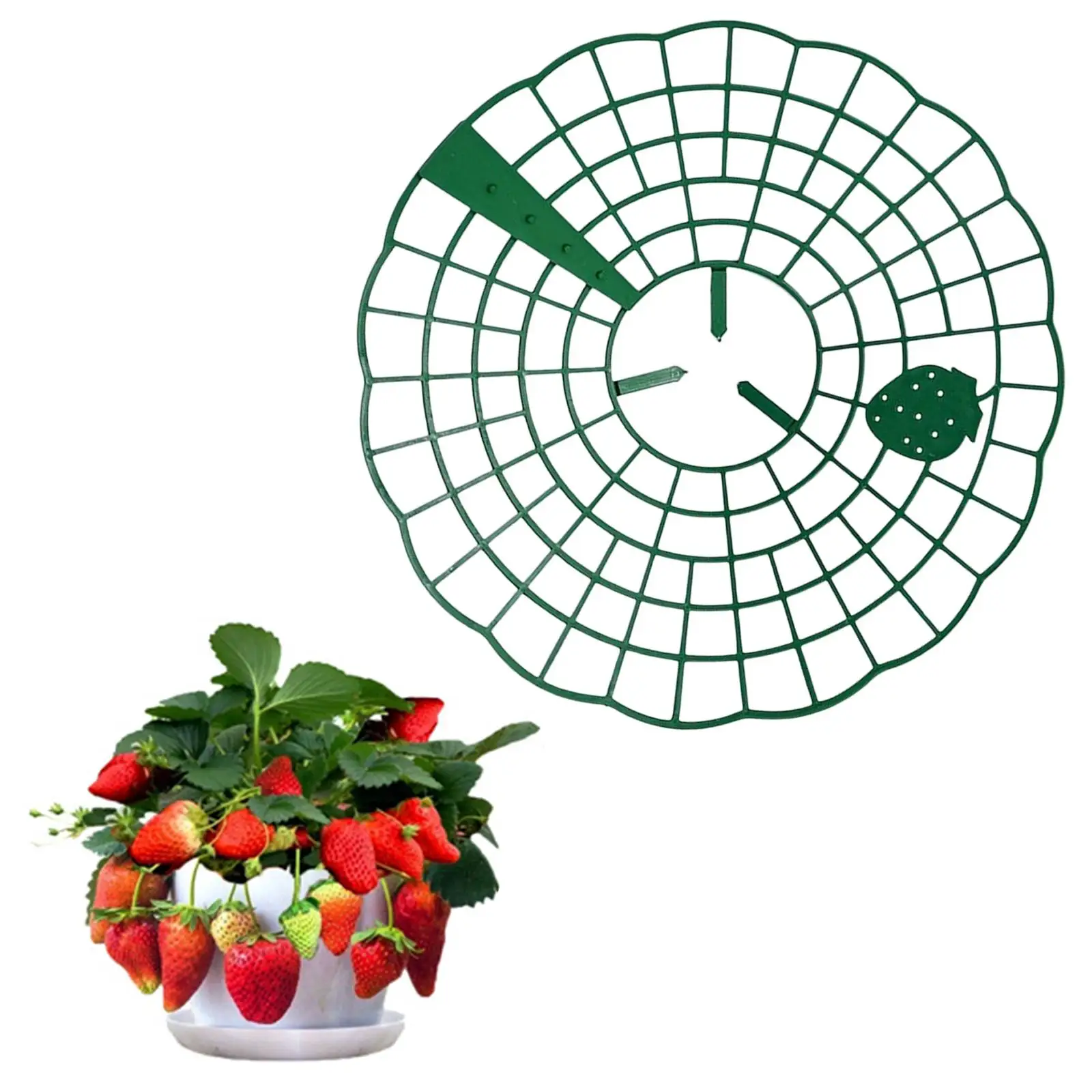 Strawberry Cages Protect ,strawberry Plant Stand, Protector Waterproof Strawberry protector, for Outdoor Garden home