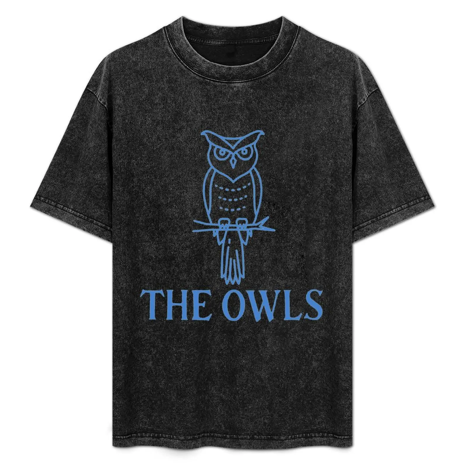 

Wednesday owl T-Shirt Aesthetic clothing customs aesthetic clothes mens champion t shirts