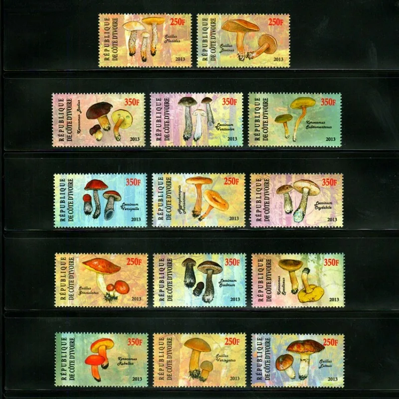 14 PCS Côte D'Ivoire 2013 Mushroom Stamps, Real Original, MNH